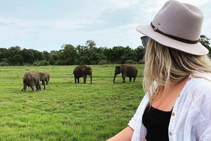 キャンディ、シギリヤ、ヌワラエリヤへの4日間ツアー