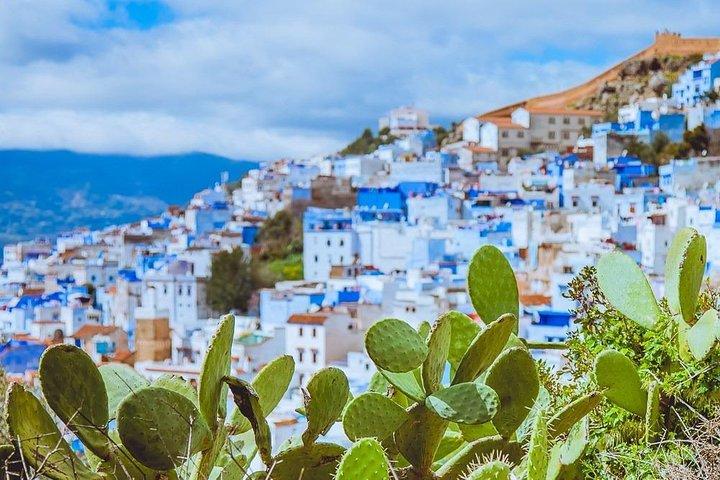 Viagem de um dia a Chefchaouen e Akchor Falls Falls
