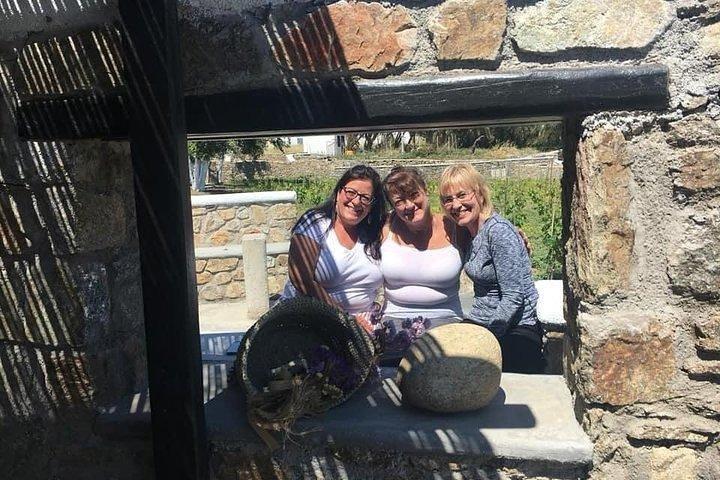 Visitez la ferme mykonienne à Mykonos