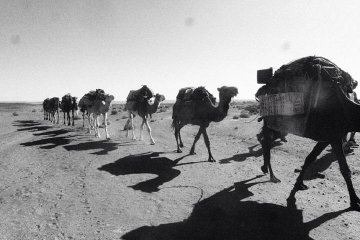 3 days in the Merzouga desert from Marrakech to Fes: luxury camp