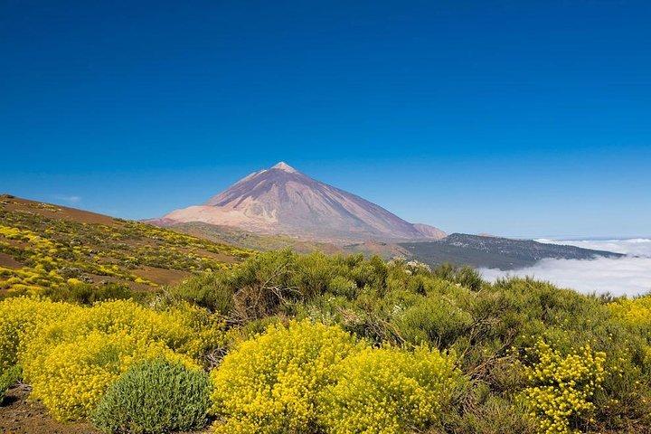 Volcano & Mt Teide Privat Tour på Tenerife