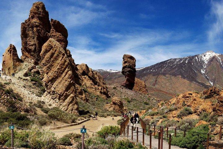 Volcano & Mt Teide Privat Tour på Tenerife