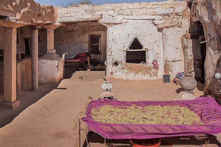 Experience Authentic Desert Villages & Sunset Camel Safari