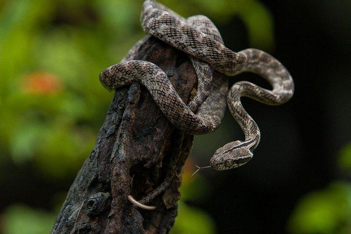 エラ発ウダワラワ国立公園サファリツアー