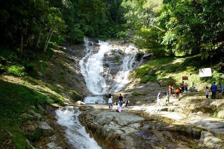 Excursion d'une journée fascinante dans les Cameron Highlands