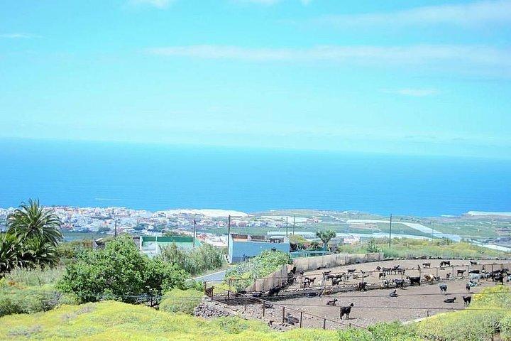 Privé VIP-tour rond het eiland vanuit Tenerife
