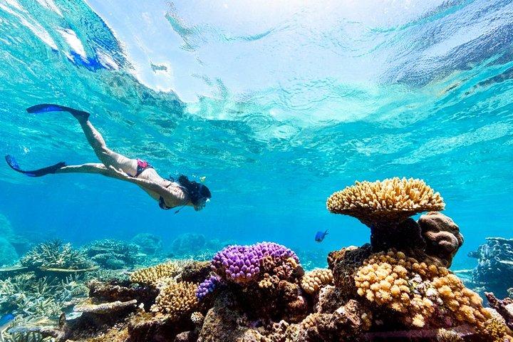 フルガダ島：オレンジベイ島旅行（シュノーケリング、ランチ＆ドリンク付き）