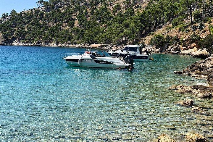BolとMilna（Island Brac）のスプリットまたはトロギールからのプライベートボートツアー