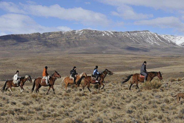 アルヘンティーノ湖を眺めながらのエル・カラファテ乗馬