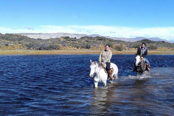 アルヘンティーノ湖を眺めながらのエル・カラファテ乗馬