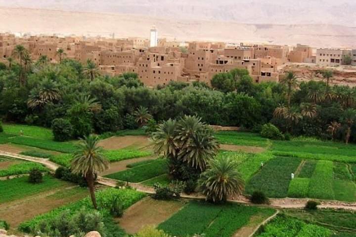 5 dagars tur Fez till Marrakech via Desert