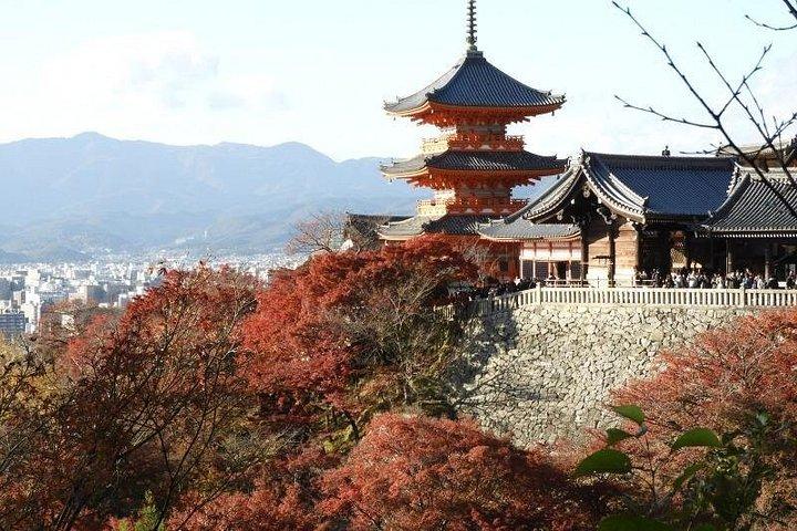 Visite privée d'une journée complète à Kyoto (8 heures)