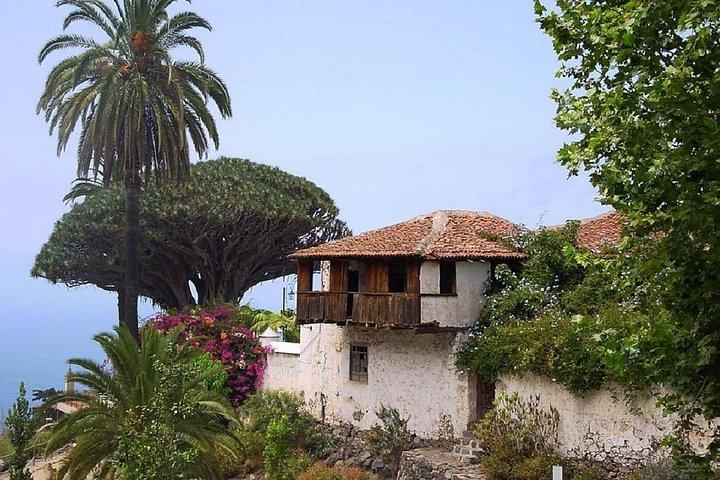 Vai a ovest - Tour privato VIP a Tenerife per Masca, Garachico e Icod