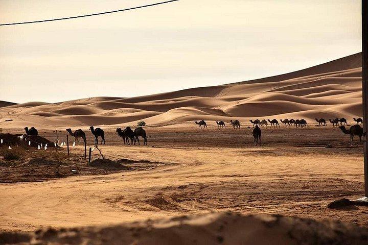 Overnight Sahara Desert Trip From Fez To Marrakech ( Small Group )