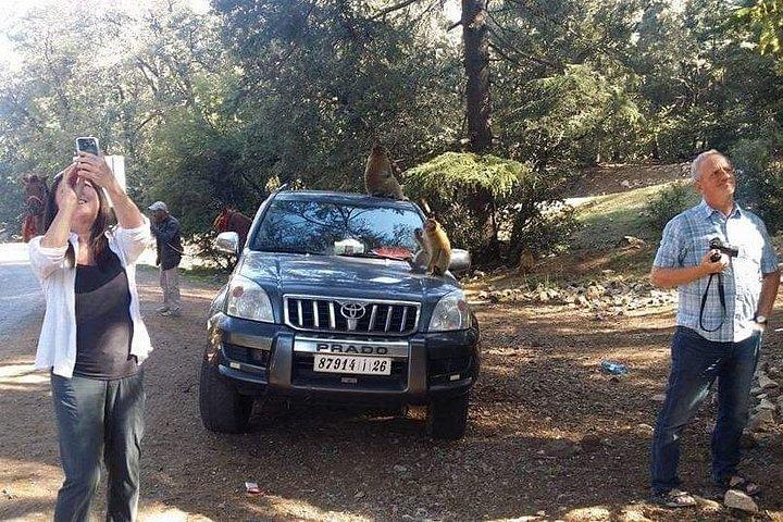 Overnight Sahara Desert Trip From Fez To Marrakech ( Small Group )