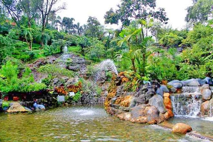 ジャカルタ空港から:火山、温泉、茶園