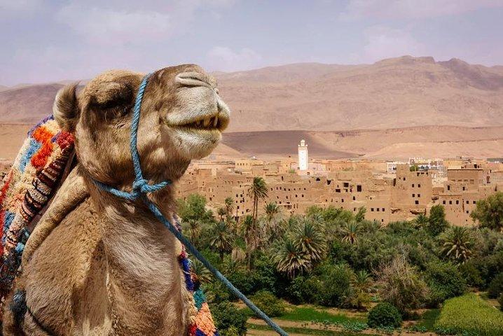 Kasbah Ait ben haddou and Ouarzazate day trip