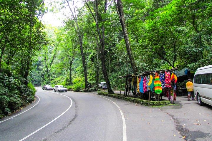 Points forts d'Ocho Rios, Blue Hole Secret Falls et Jerk Stop depuis Falmouth