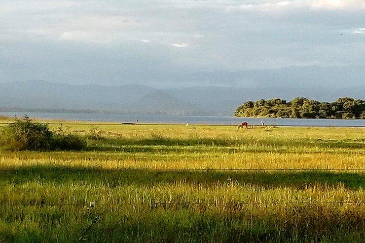 Udawalawe Safari Tour - Hotel Pick-up and Transfers Including