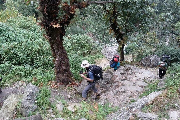5 Tage Annapurna Basislager Wanderung von Pokhara