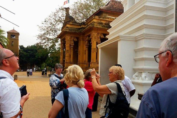 Lufthavn Layover Colombo City tur