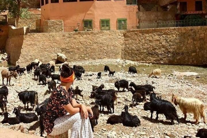 Gita di un giorno con un gruppo a Ouarzazate e Ait Ben Haddou