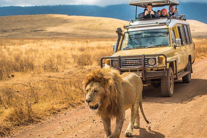 5 Days Lodge Safari - Lake Manyara, Serengeti, Ngorongoro, Tarangire.