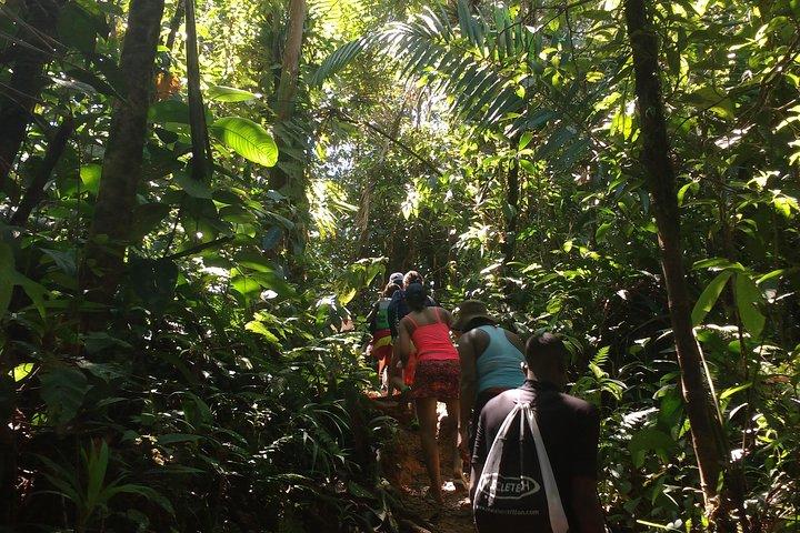 San Cipriano (Selva, Tubing e Cascate)