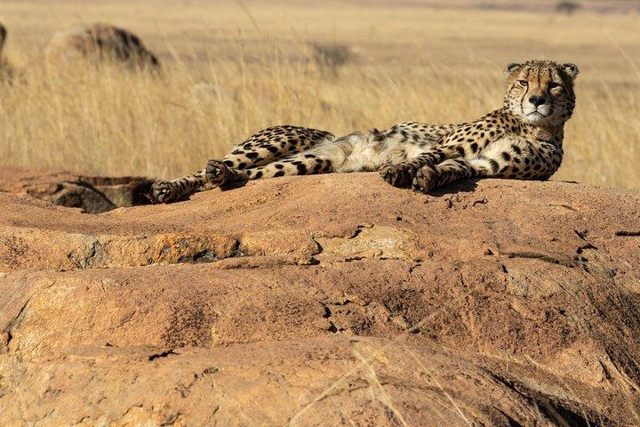 2 dagar Tsavo West Safari äventyr Nairobi Kenya !