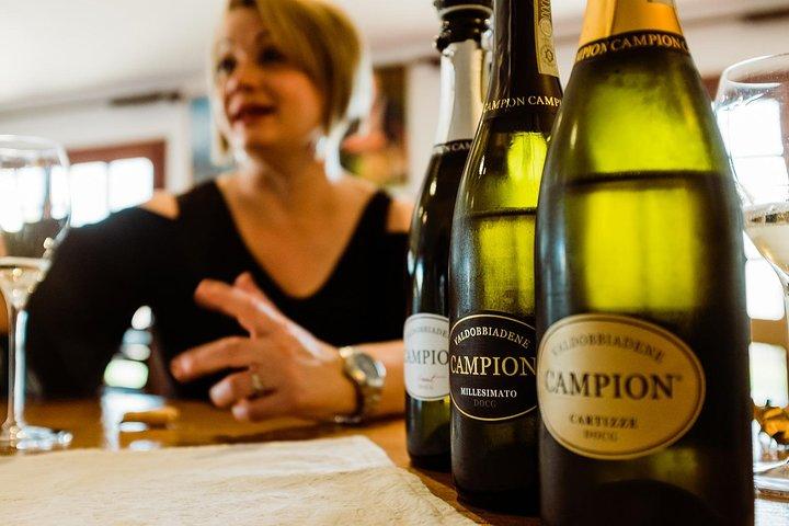 Padua Wine Tasting Walk