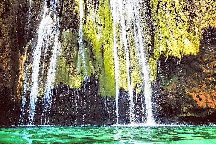 Observação de baleias em Samana + Cayo Levantado + Cachoeiras de Limon dos hotéis de Punta Cana