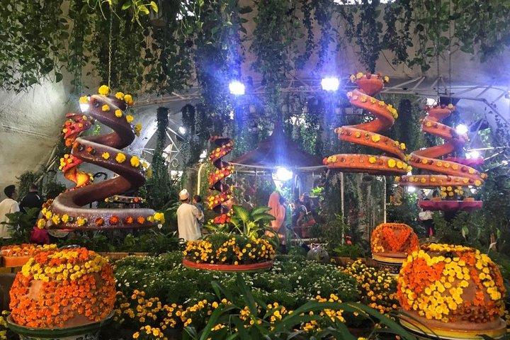 Visite privée du jardin Miracle & Papillon de Dubaï avec transferts