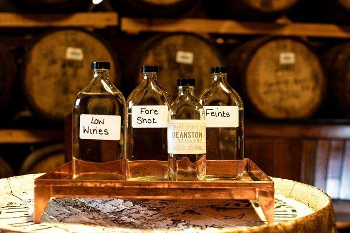 Scottish Gin & Whisky Distillery Experience from Glasgow
