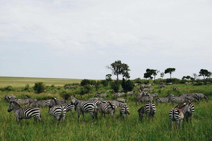 Lake Nakuru Express