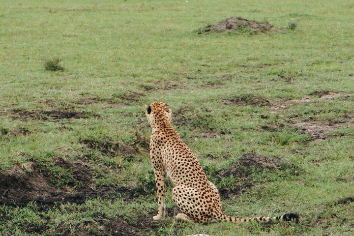 Lake Nakuru Express