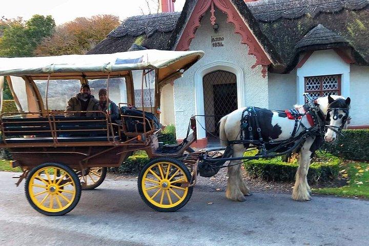 Killarney Nationaal Park Tour
