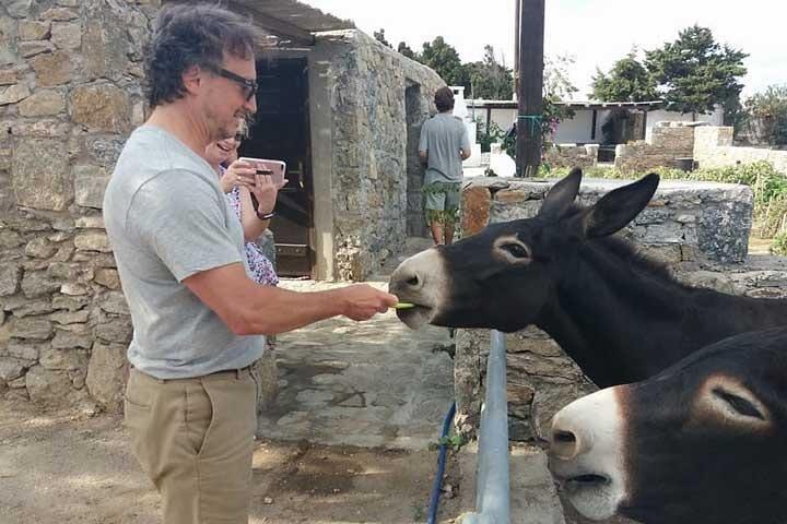 Besök Mykonian Farm i Mykonos
