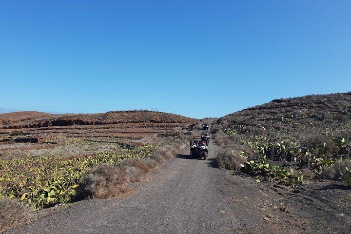 3-hour Buggy Tour from Costa Teguise