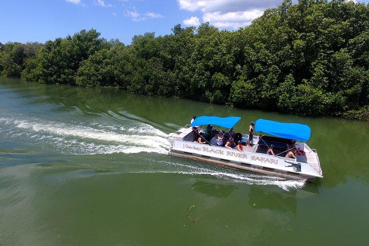Black River Safari og YS Water Falls