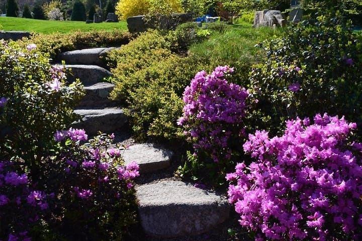 Visite privée de 4 heures en Acadie Cadillac Mountain & Somes Sound Fiord