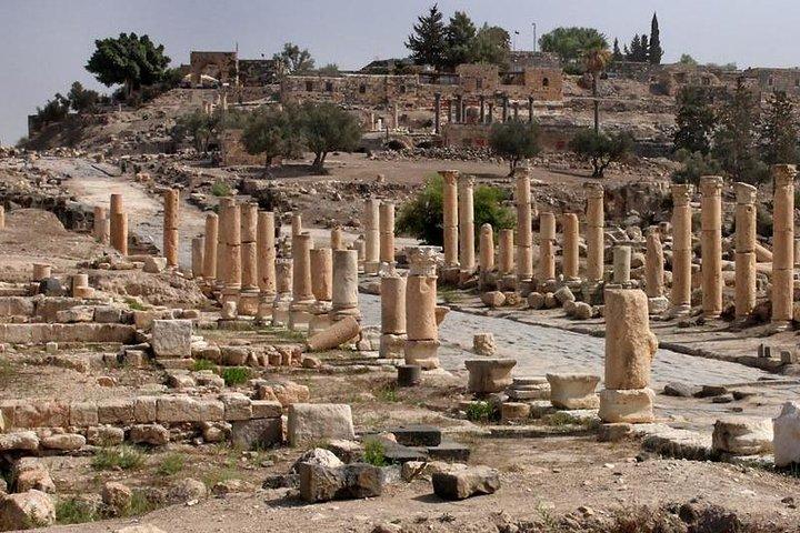 Excursão de dia inteiro a Jerash, Ajloun e Umm Quais