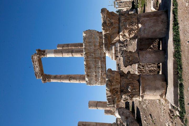 Excursión de un día a Jerash, el castillo de Ajloun y el mar Muerto