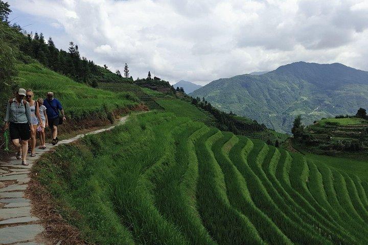 Tour privato di 8 giorni di eredità e montagne: da Guilin a Zhangjiajie