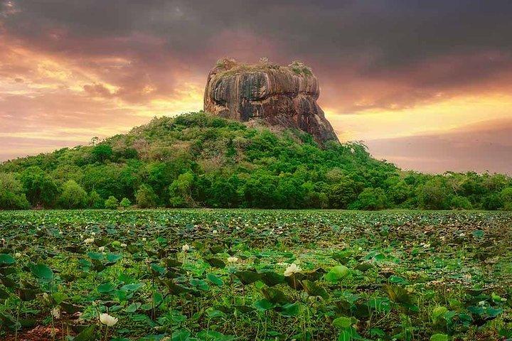 Excursão Sigiriya e Dambulla (tudo incluído)