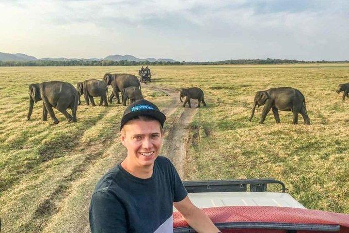 Halvdags Minneriya National Park Safari fra Dambulla