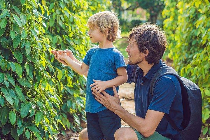 スターフィッシュ ビーチとグランド ワールドのあるフーコック北部の観光