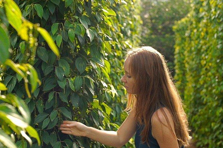 スターフィッシュ ビーチとグランド ワールドのあるフーコック北部の観光