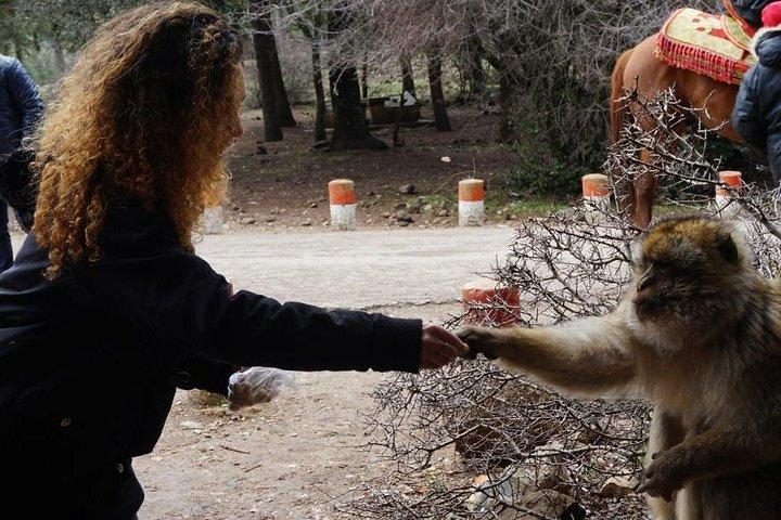 マラケシュから砂漠経由でカサブランカへ10日間ツアー
