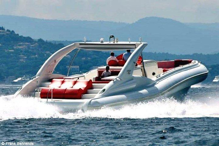 Luxury Opera 60 Whale and Dolphin Watching Experience
