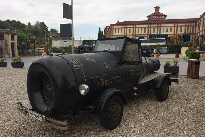 Wine tour - Regione vinicola di Penedes - (2 cantine incluse)